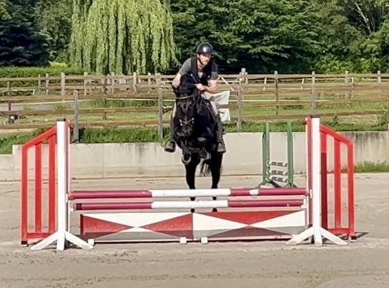 Castrone KWPN Cavallo da Sport Neerlandese In vendita 2022 Nero