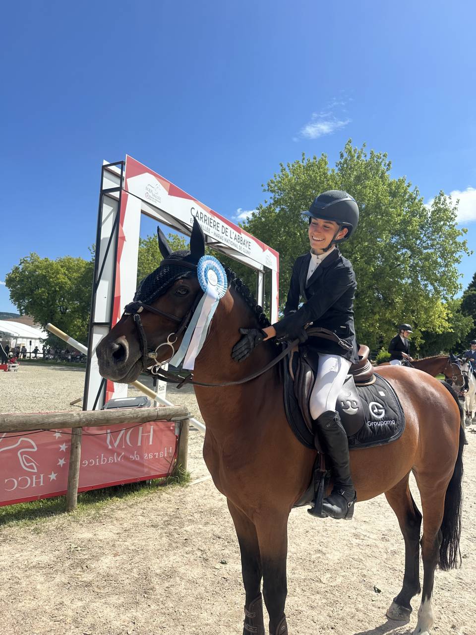 Castrone Pony da Sella Belgio In vendita 2016 Baio
