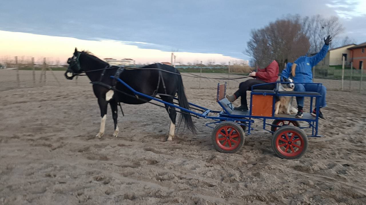 Carrozza artigianale
