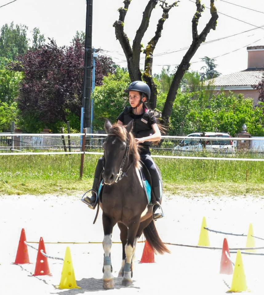 Istruttore di equitazione - Non salariato Part-time - Haute-Garonne Francia