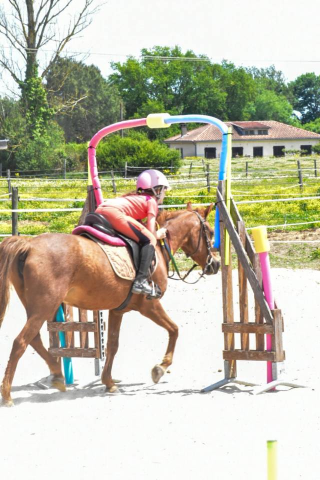 Istruttore di equitazione - Non salariato Part-time - Haute-Garonne Francia