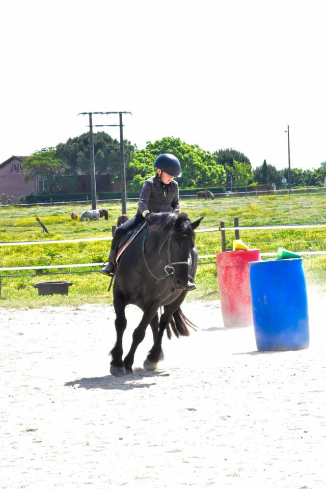 Istruttore di equitazione - Non salariato Part-time - Haute-Garonne Francia