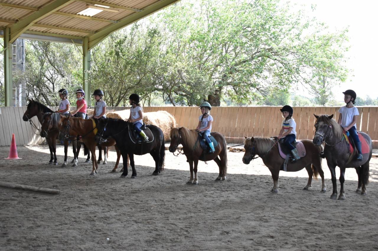 Istruttore di equitazione - Non salariato Part-time - Haute-Garonne Francia