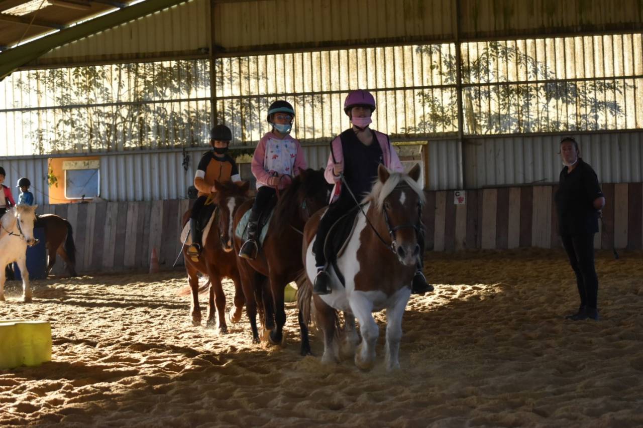 Istruttore di equitazione - Non salariato Part-time - Haute-Garonne Francia
