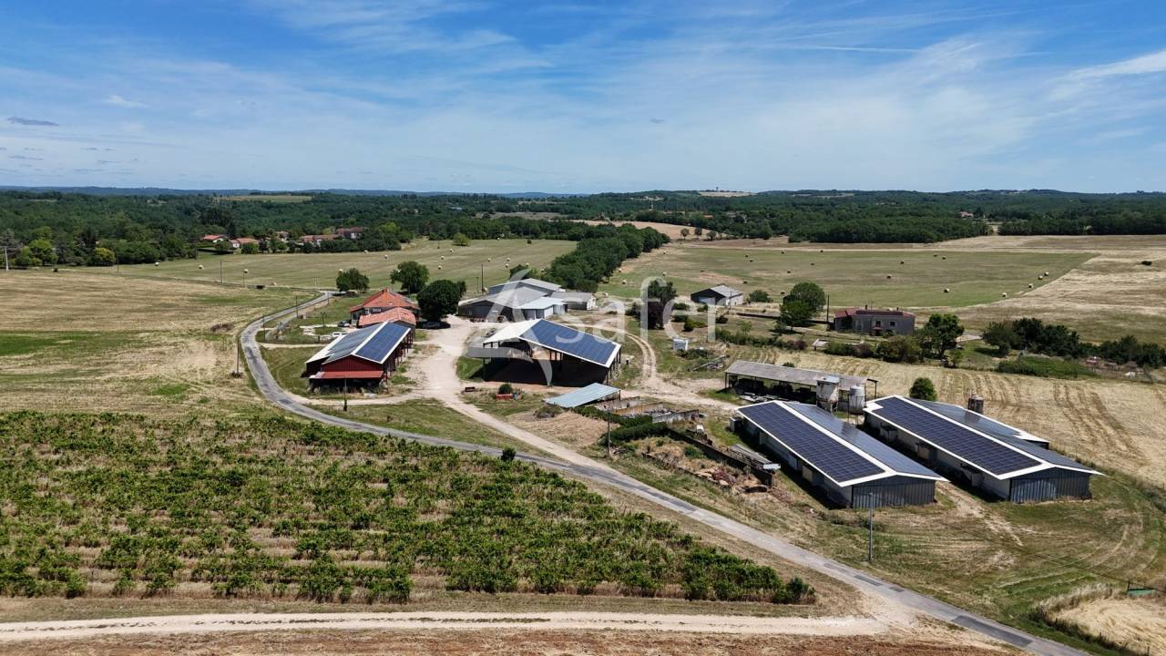 Azienda ovina In vendita Lot