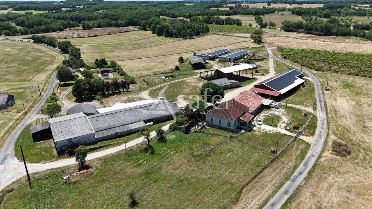 Azienda ovina In vendita Lot
