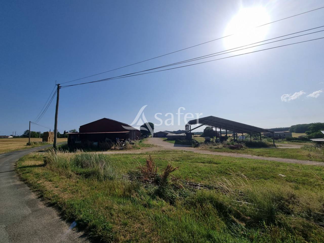 Azienda ovina In vendita Lot