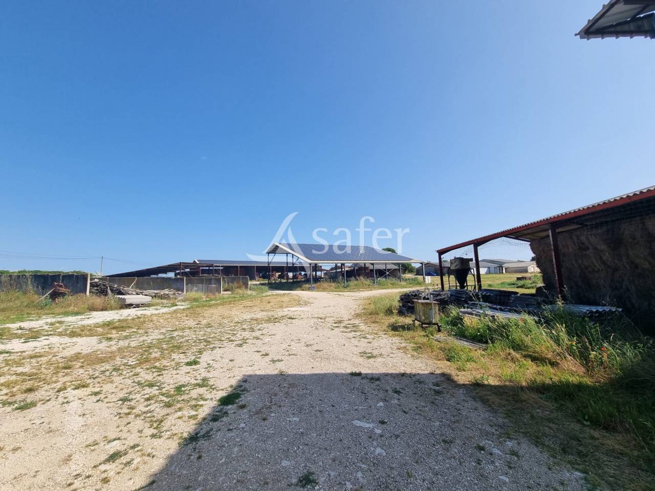Azienda ovina In vendita Lot