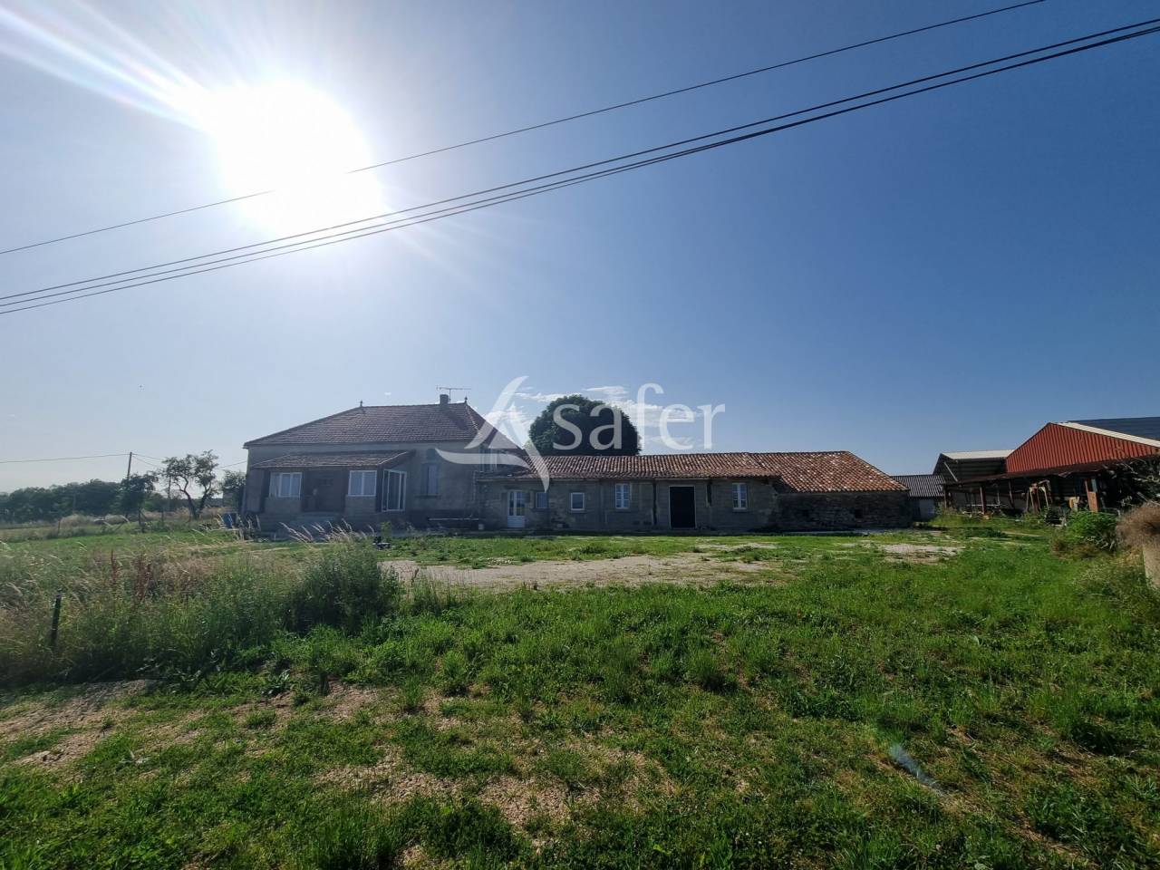 Azienda ovina In vendita Lot