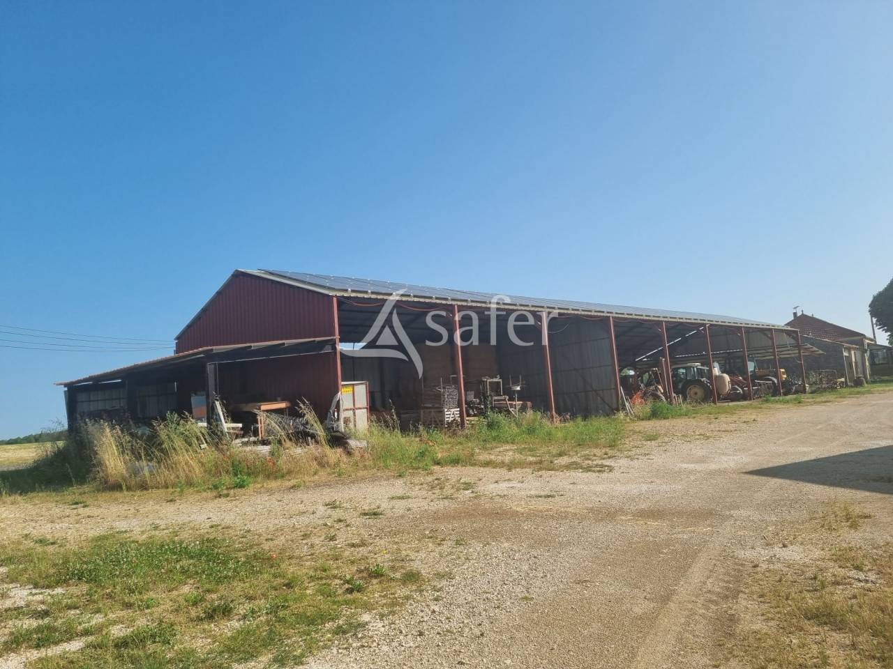 Azienda ovina In vendita Lot