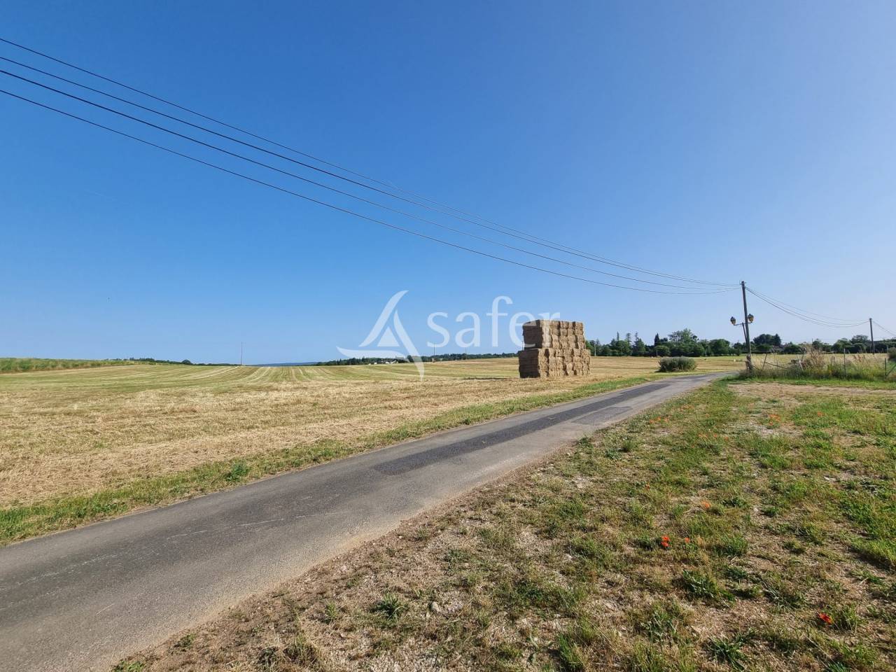 Azienda ovina In vendita Lot