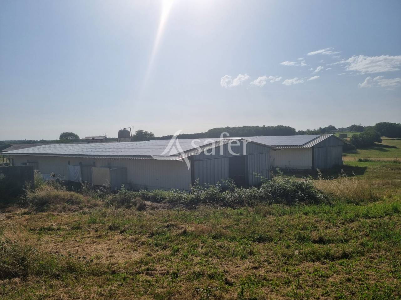 Azienda ovina In vendita Lot