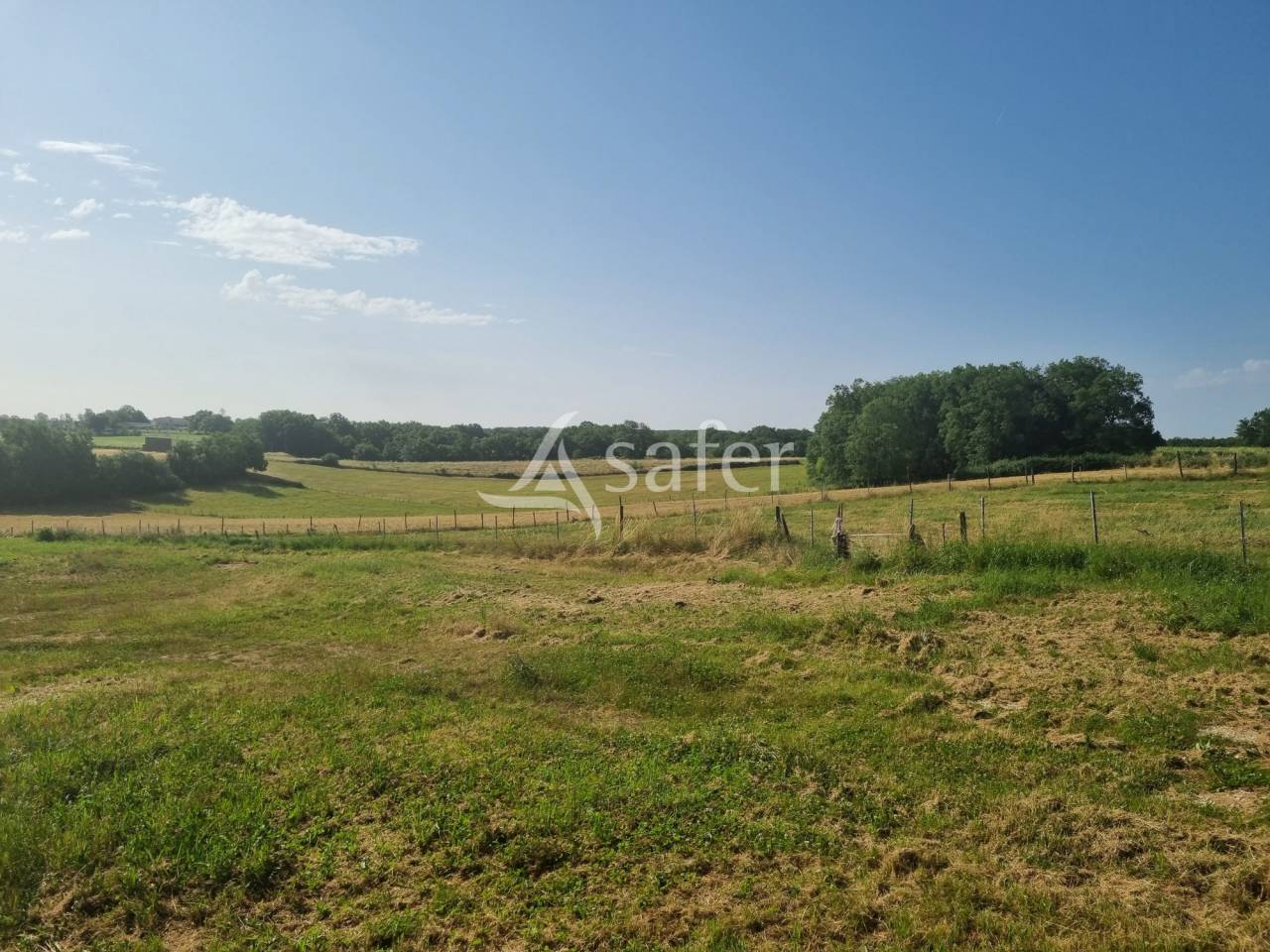 Azienda ovina In vendita Lot