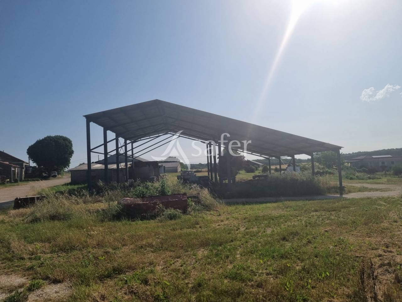 Azienda ovina In vendita Lot