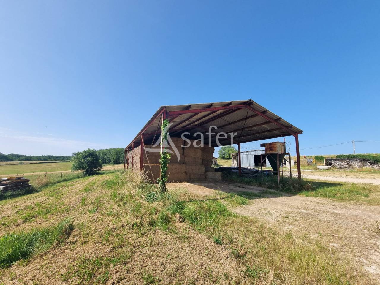 Azienda ovina In vendita Lot