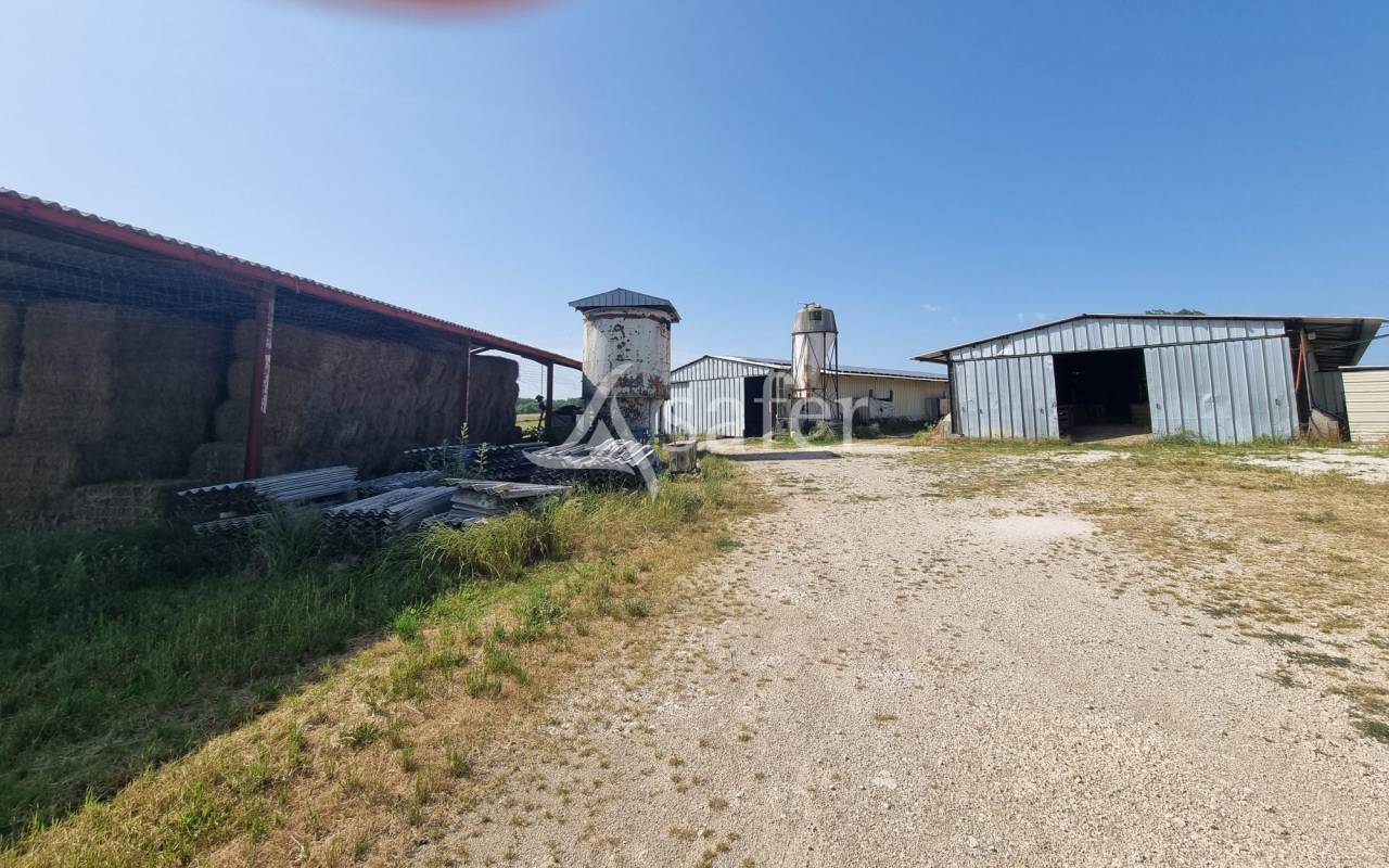 Azienda ovina In vendita Lot