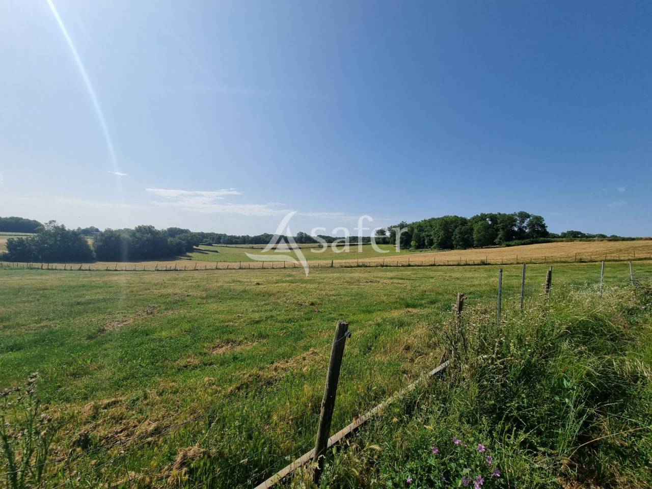 Azienda ovina In vendita Lot