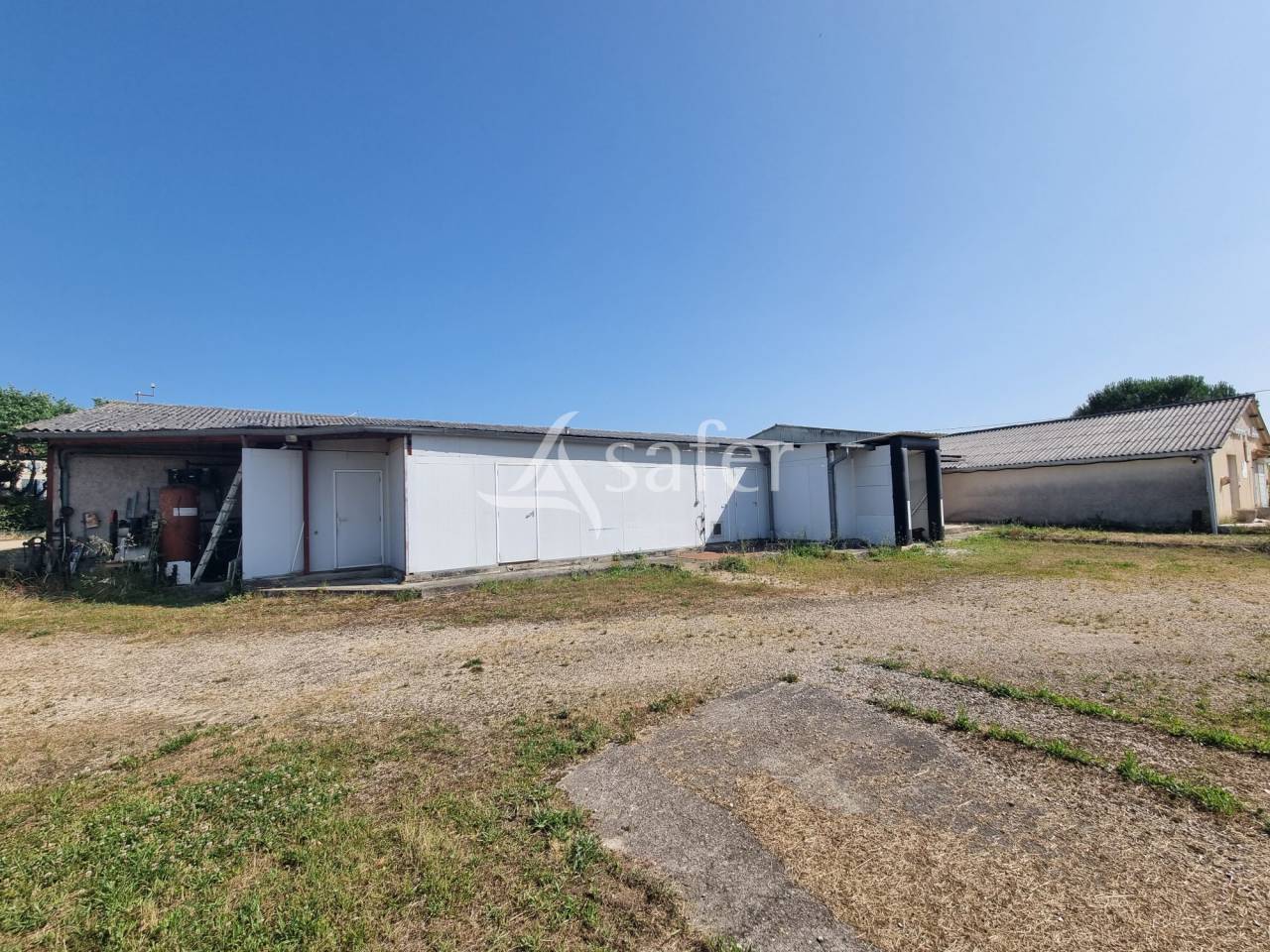 Azienda ovina In vendita Lot