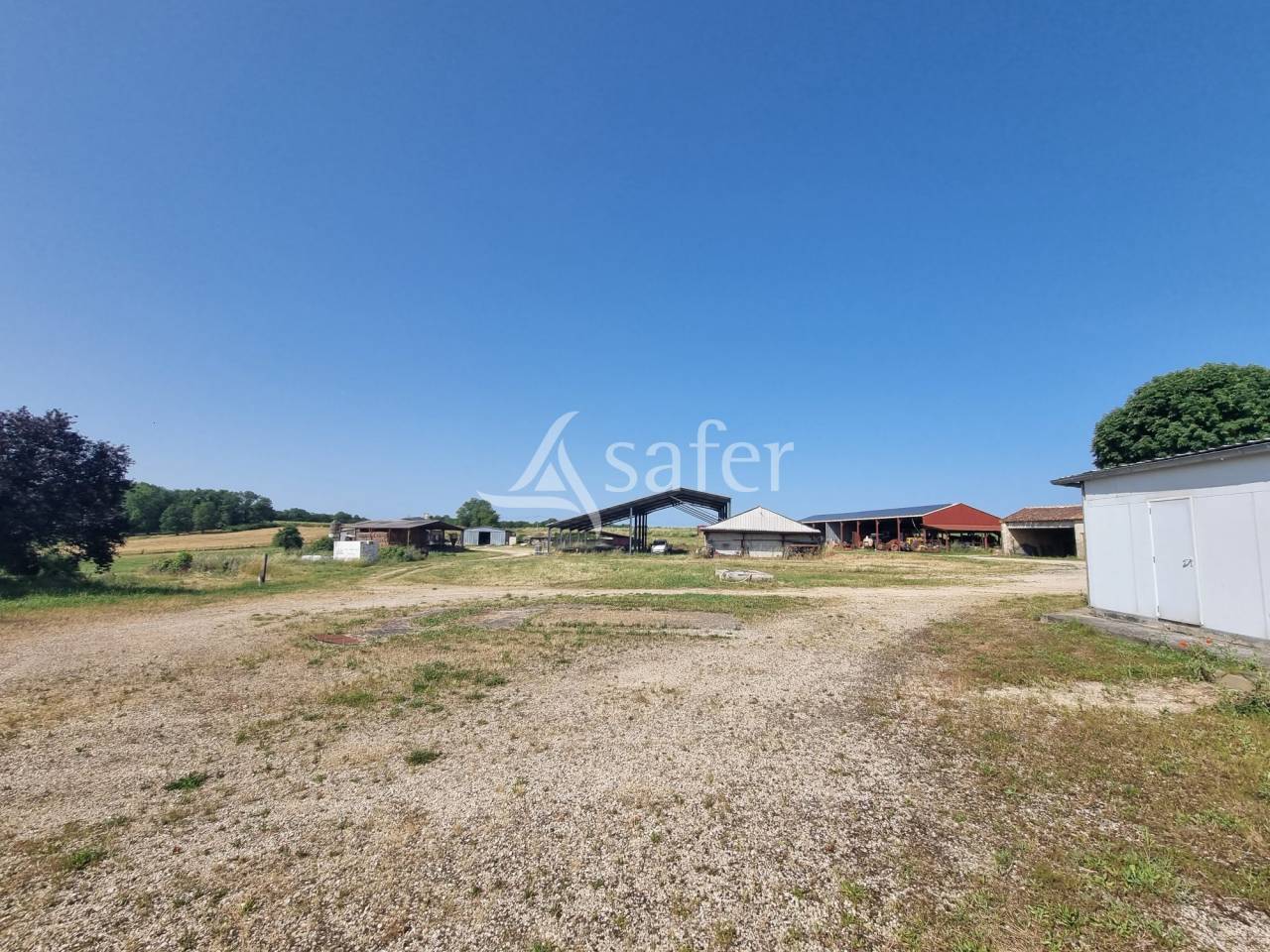 Azienda ovina In vendita Lot
