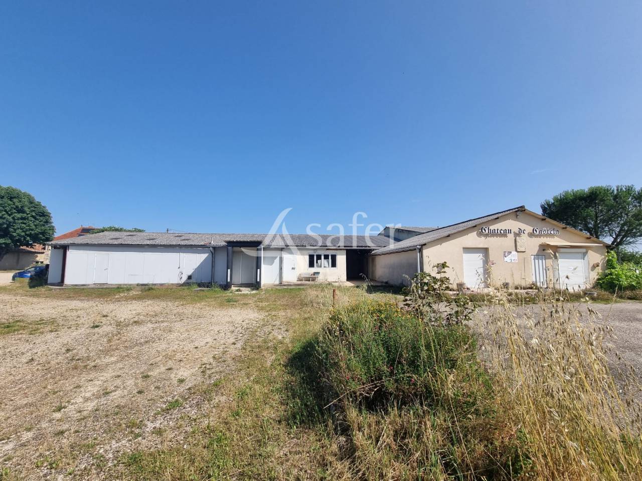 Azienda ovina In vendita Lot