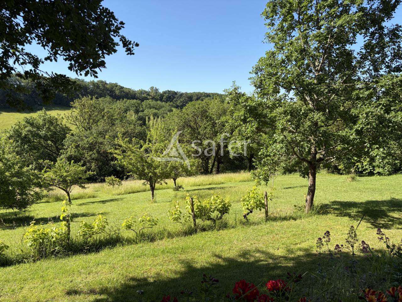 Azienda agricola In vendita Lot-et-Garonne