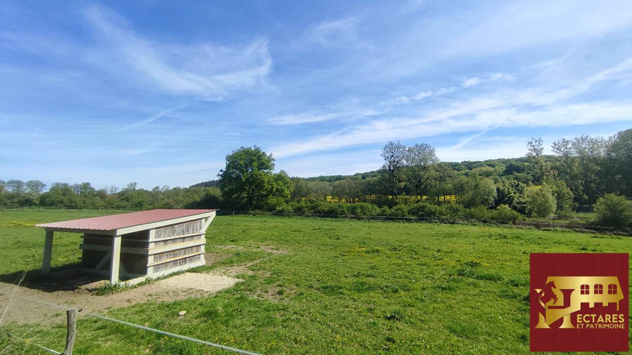 Propriet&agrave; equestre In vendita Ain