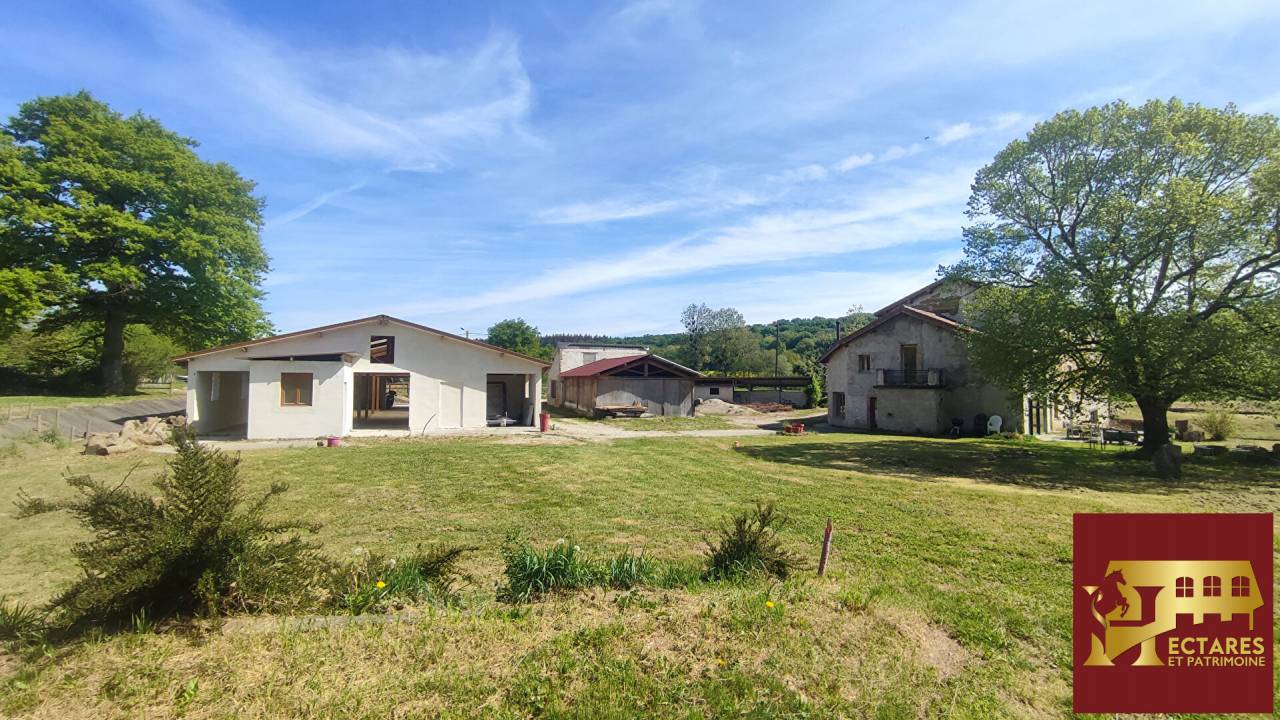 Propriet&agrave; equestre In vendita Ain