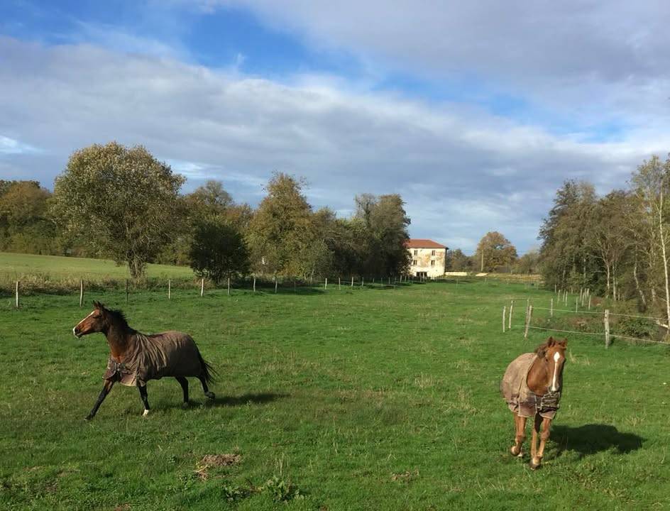 Propriet&agrave; equestre In vendita Ain