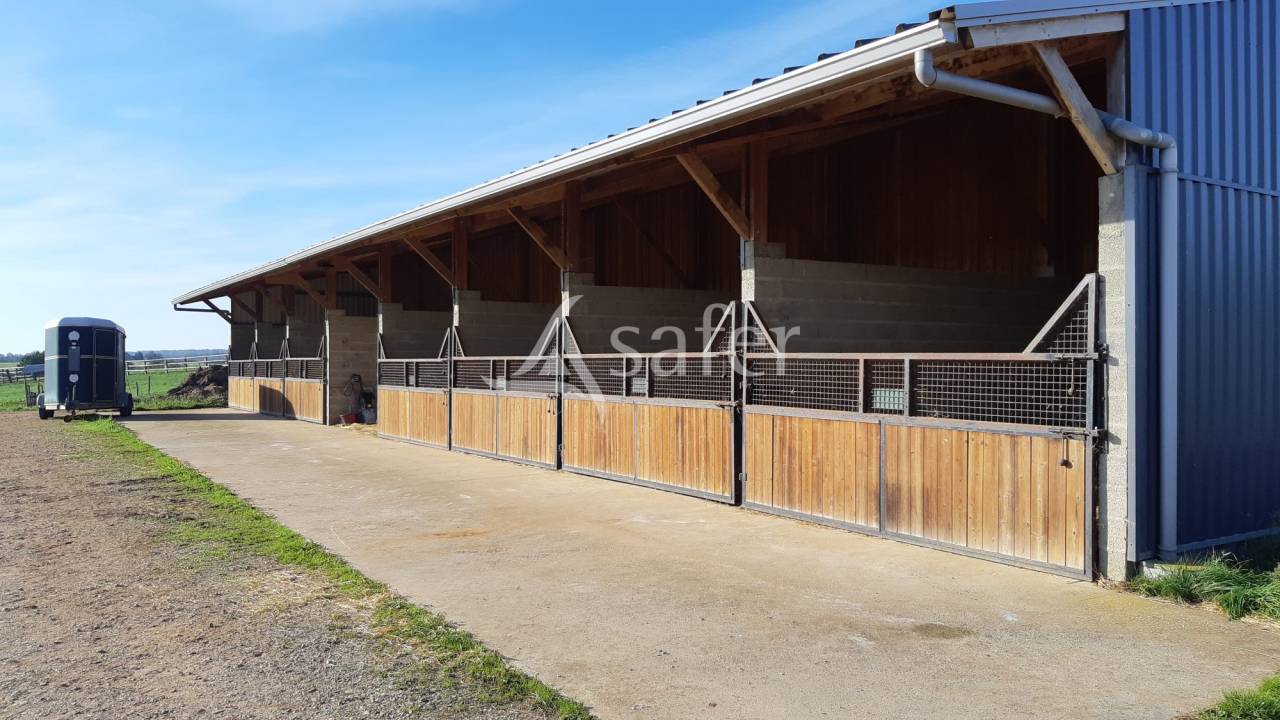 Propriet&agrave; equestre In vendita Mayenne