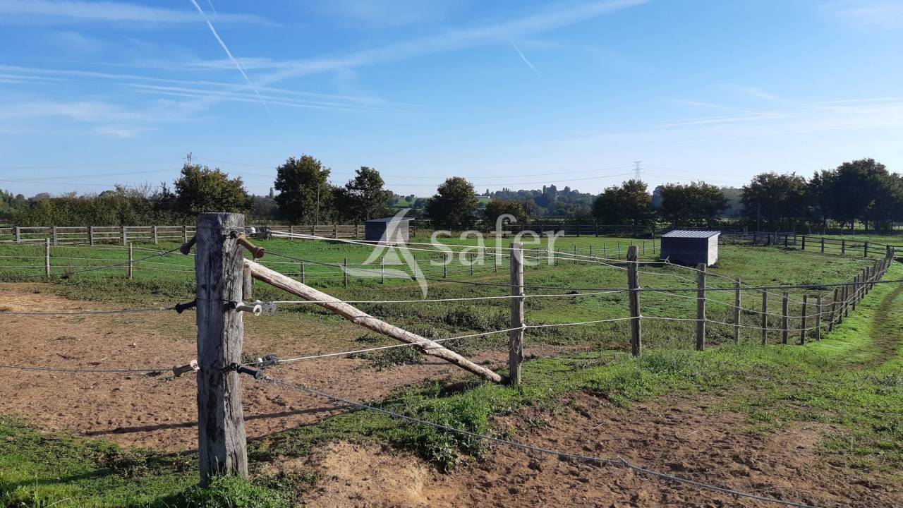 Propriet&agrave; equestre In vendita Mayenne