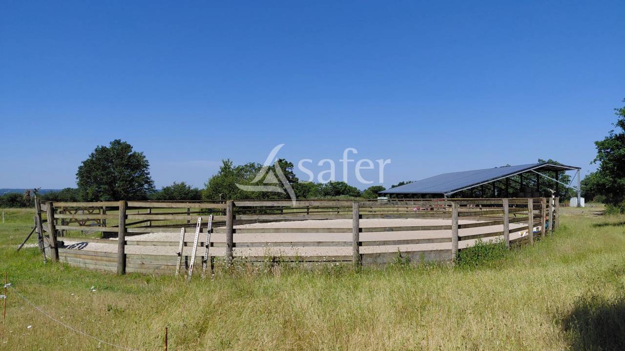 Propriet&agrave; equestre In vendita Deux-S&egrave;vres
