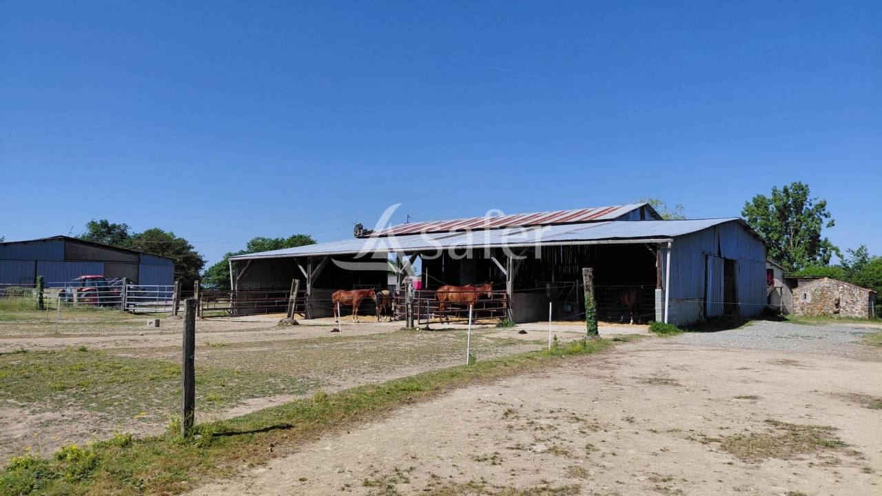 Propriet&agrave; equestre In vendita Deux-S&egrave;vres