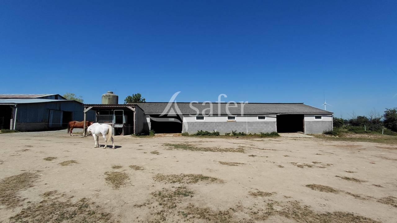 Propriet&agrave; equestre In vendita Deux-S&egrave;vres