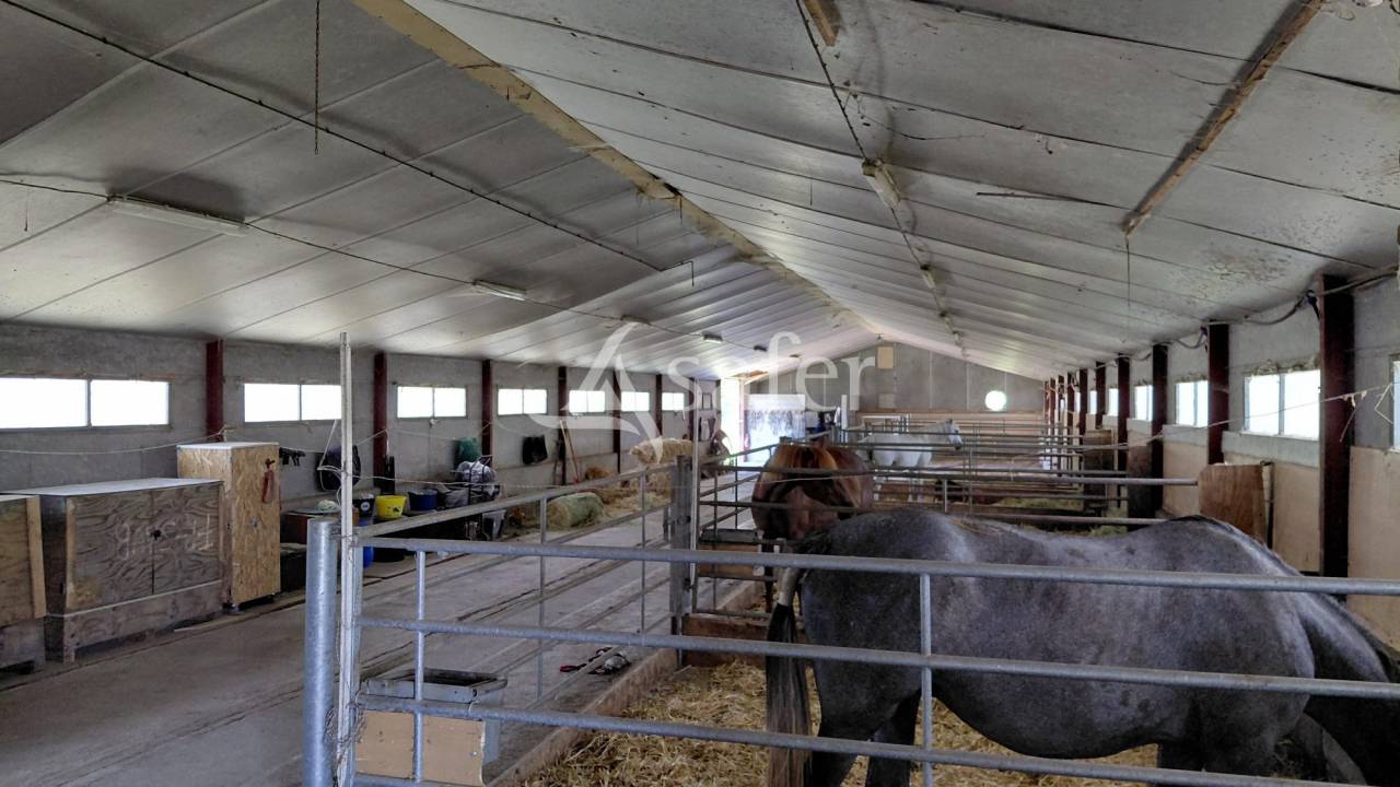 Propriet&agrave; equestre In vendita Deux-S&egrave;vres
