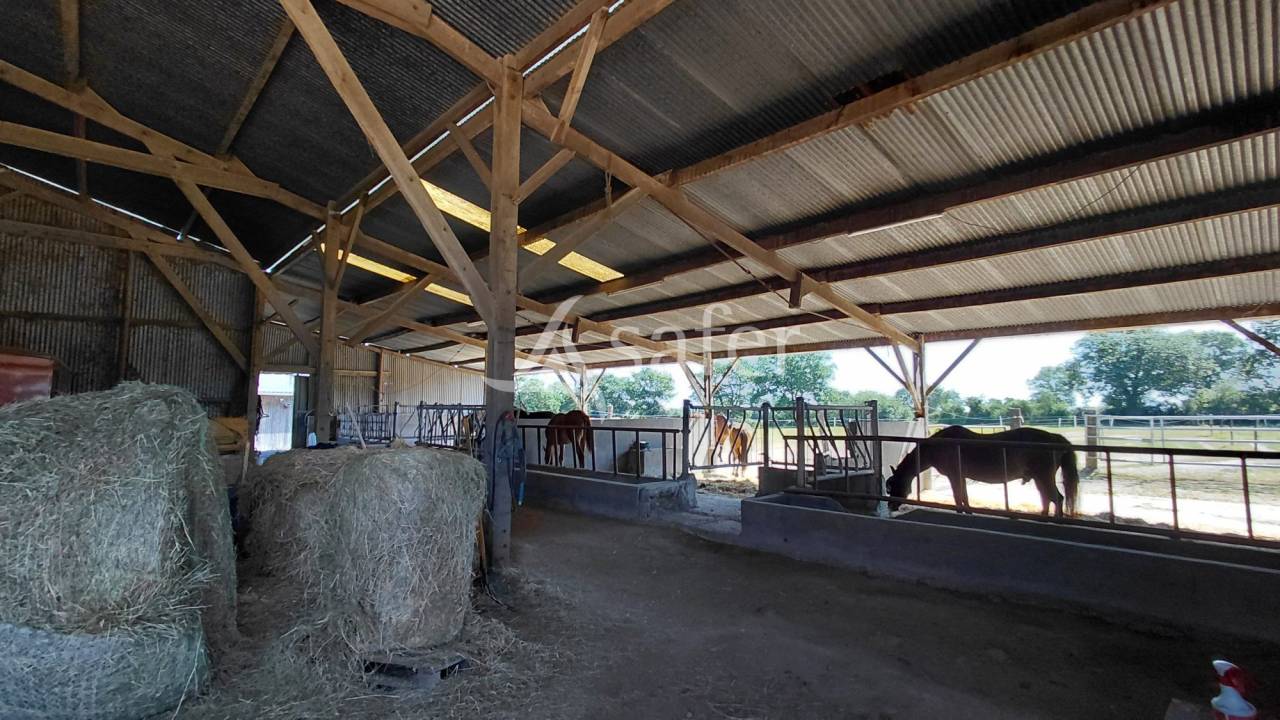 Propriet&agrave; equestre In vendita Deux-S&egrave;vres