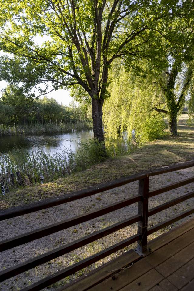 Bella dimora equestre In vendita Sa&ocirc;ne-et-Loire