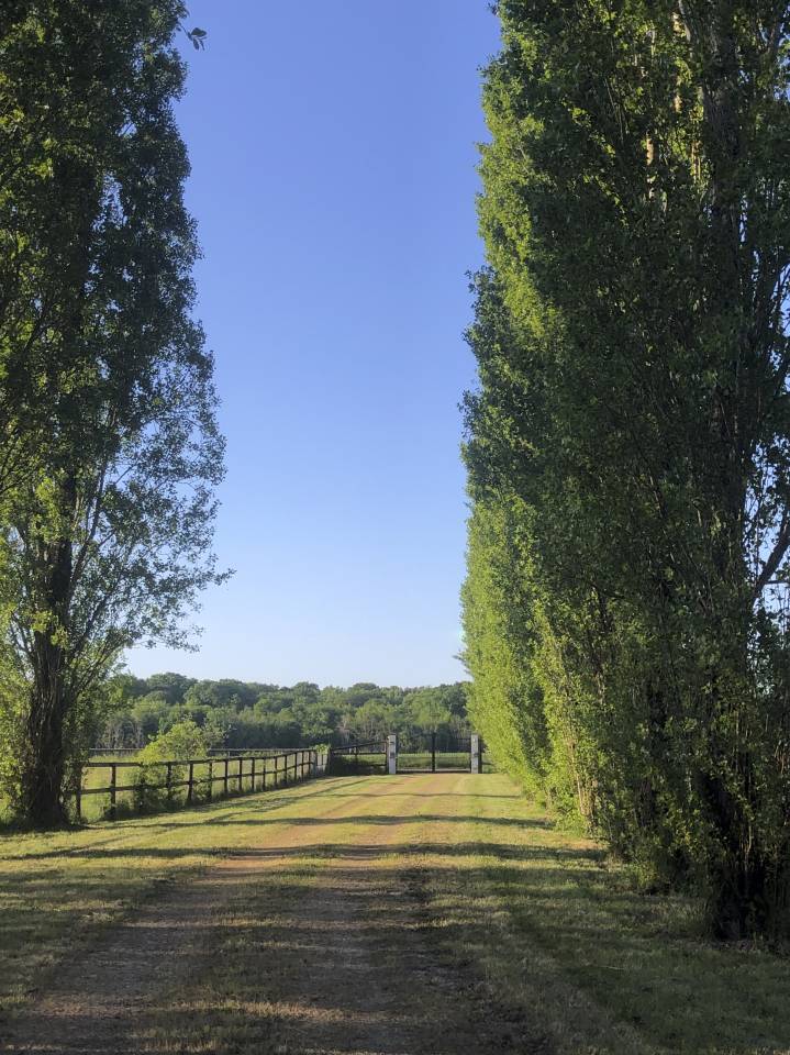 Bella dimora equestre In vendita Sa&ocirc;ne-et-Loire