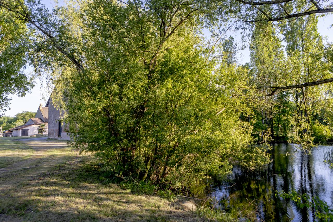 Bella dimora equestre In vendita Sa&ocirc;ne-et-Loire