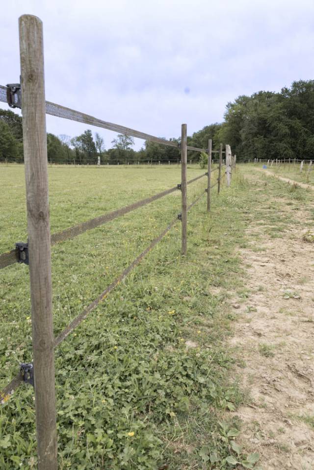 Propriet&agrave; equestre In vendita Seine-et-Marne