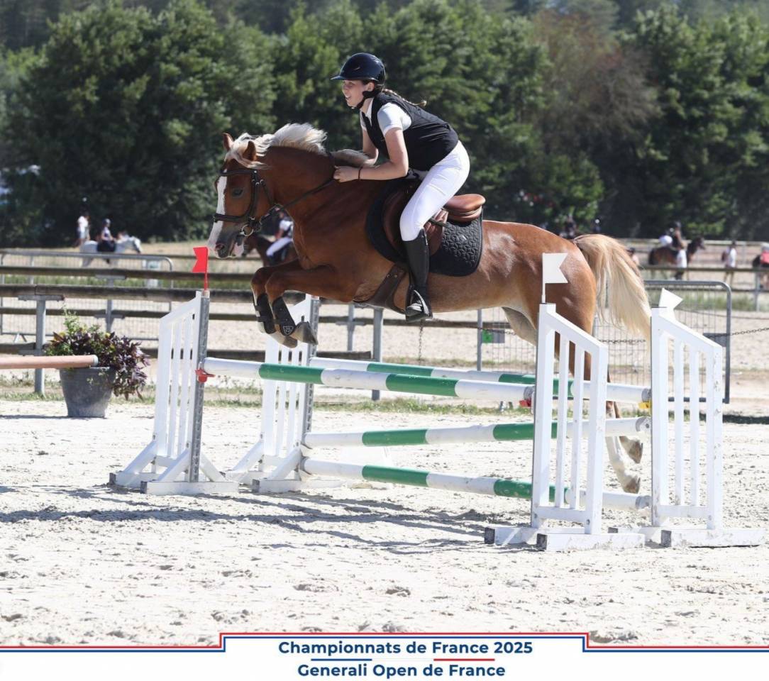 Castrone PFS Pony Francese da Sella In vendita 2020 Crine lavato