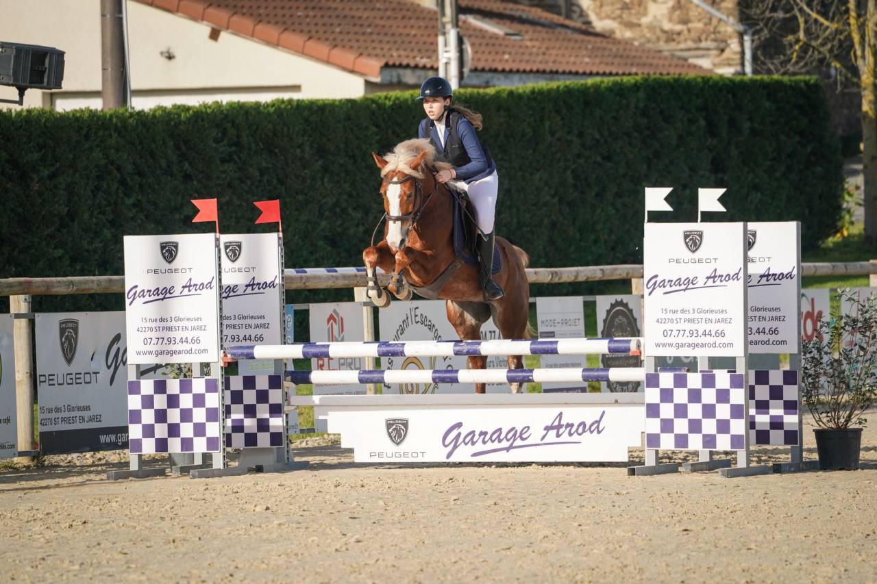 Castrone PFS Pony Francese da Sella In vendita 2020 Crine lavato