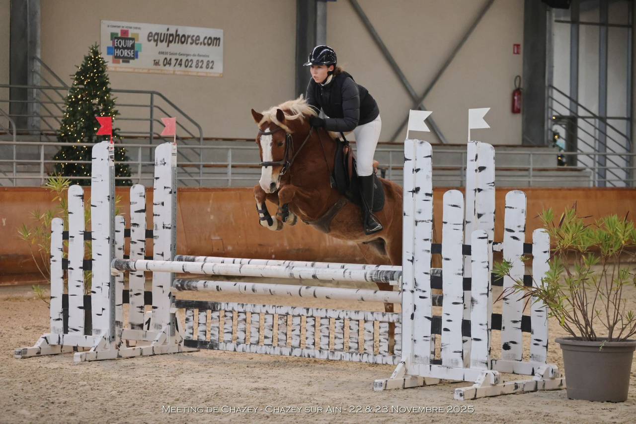Castrone PFS Pony Francese da Sella In vendita 2020 Crine lavato