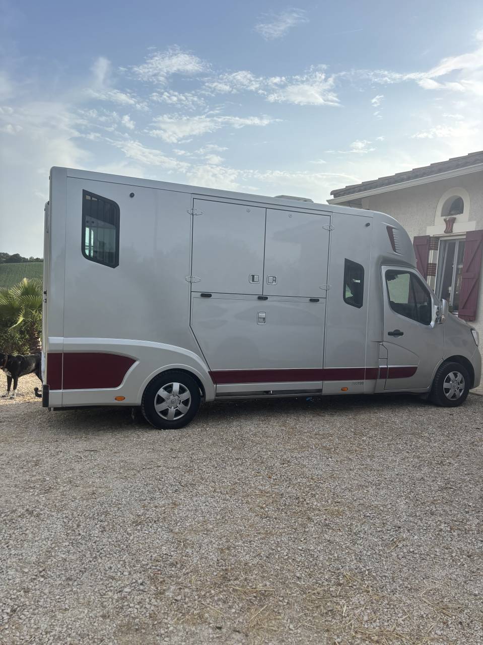 Van per Cavalli Theault Renault nv Master Pl cab. Grd Confort L3H1 Energy  2021 Occasione