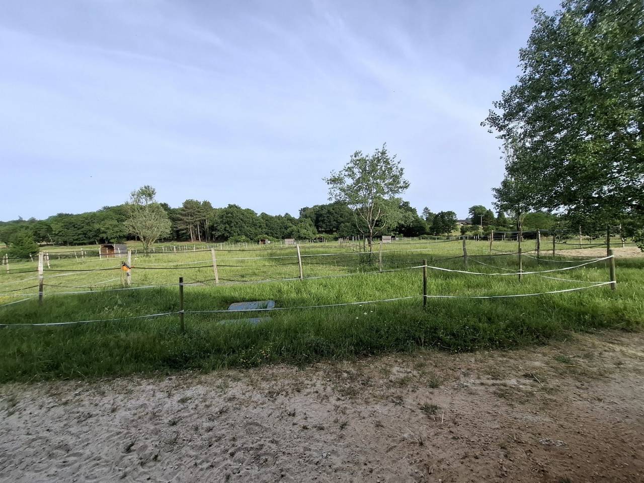 Alloggio equestre In vendita Indre-et-Loire