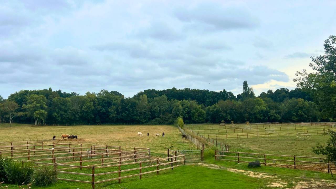 Propriet&agrave; equestre In vendita Lot-et-Garonne