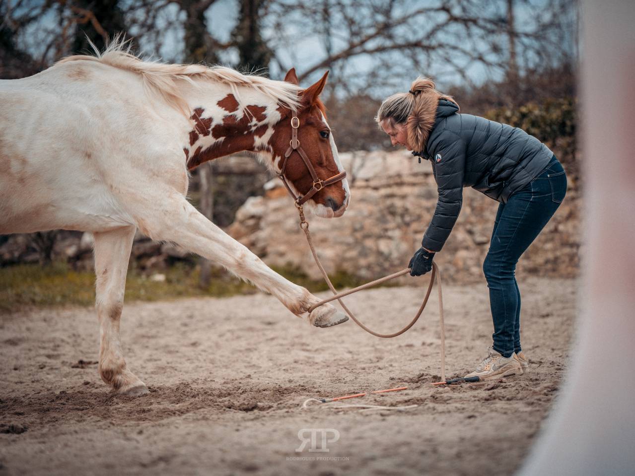 Cavalla Sella Francese In vendita 2018 Pezzato