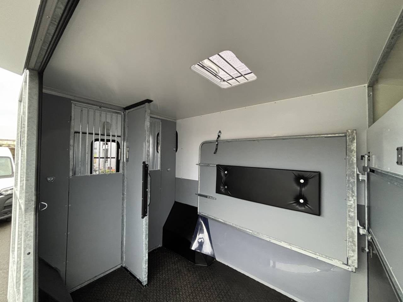 Van per Cavalli AP Petit Interstar L2  2026 Nuovo