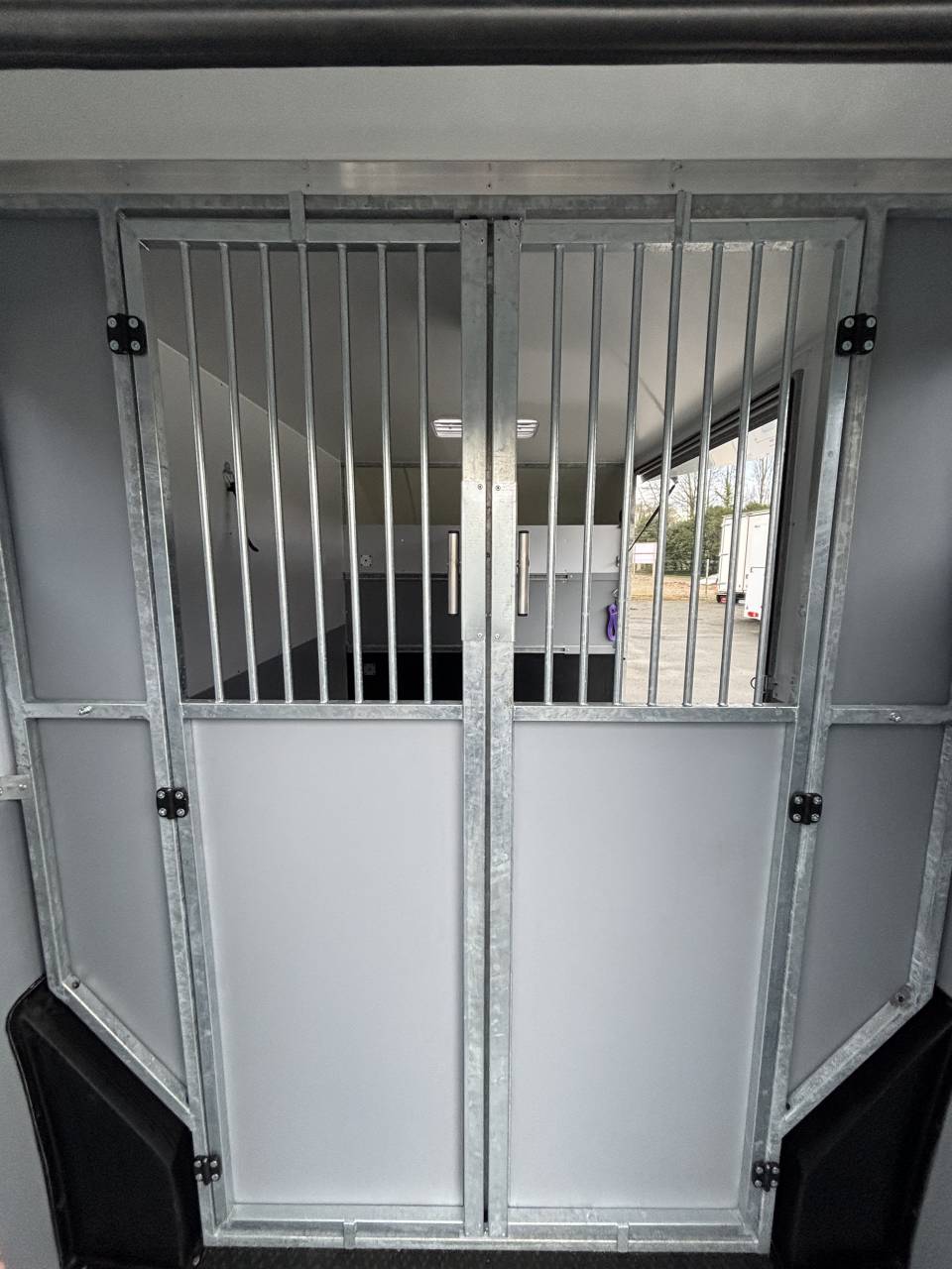 Van per Cavalli AP Petit Interstar L2  2026 Nuovo