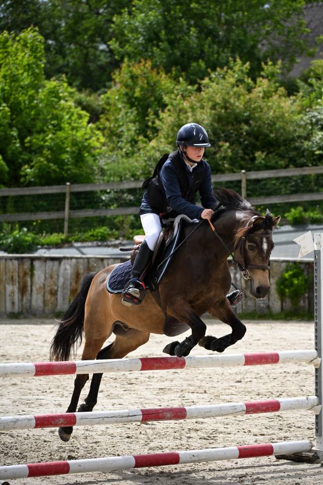 Castrone PFS Pony Francese da Sella In vendita 2013 Isabella ,  VIERSEN K