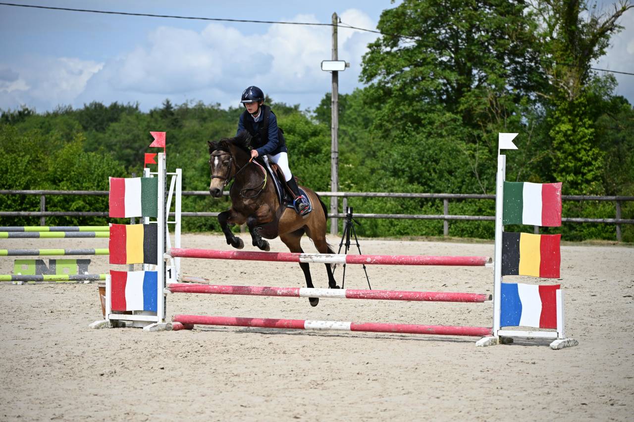 Castrone PFS Pony Francese da Sella In vendita 2013 Isabella ,  VIERSEN K